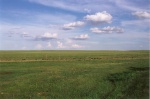 There is nothing at all in Oklahoma. Not a damn thing.
