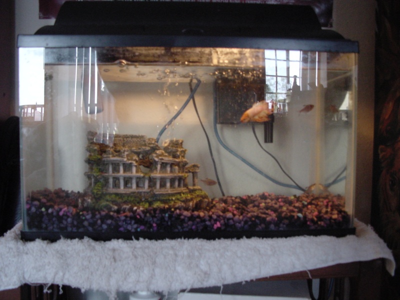 The old tank