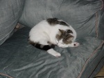 So cute... you'd never know she was a killer
