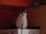 DSC01544.JPG