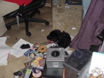 I didn't do this... really!