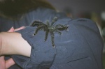 This would kill me.