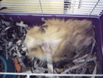 Smacky's baby picture